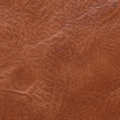 Ida